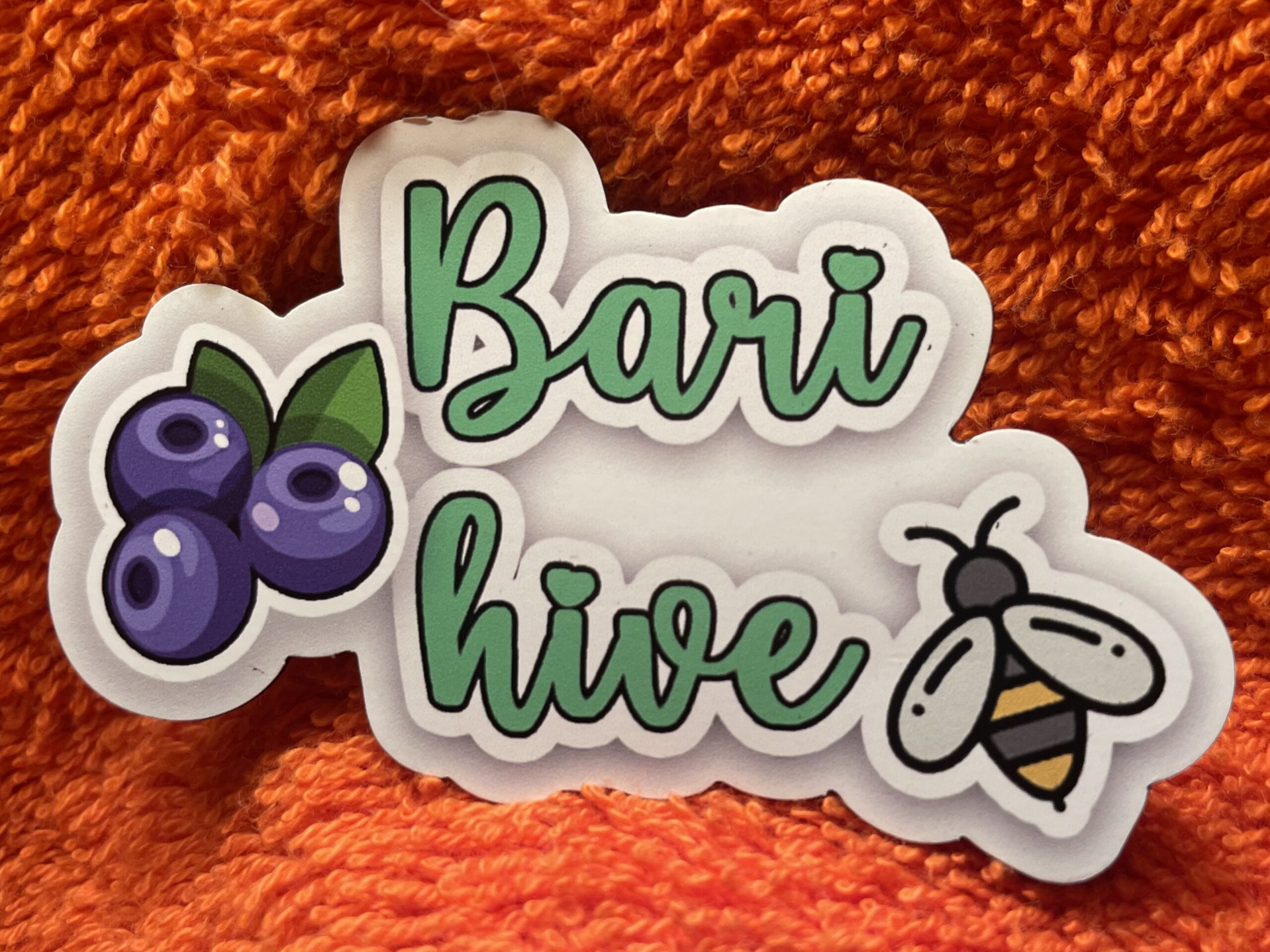 BariGirls Magnets – Bari Hive Magnet